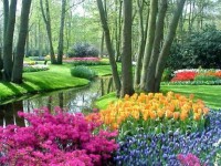 JARDINES DE KEUKENHOF HOLANDA