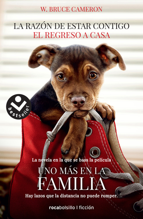 La razón de estar contigo