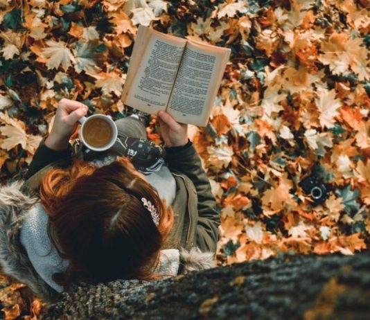 Los libros que querrás leer este otoño